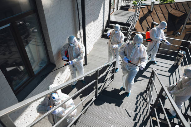 Best Residential Mold Inspection & Testing  in Berlin, NH