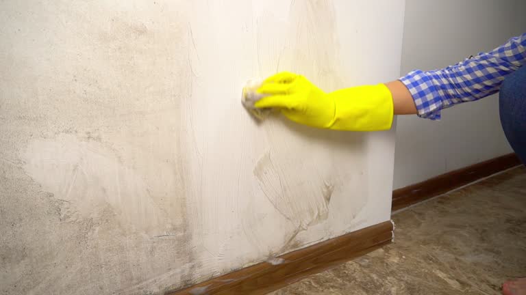 Biohazard Mold Removal in Berlin, NH