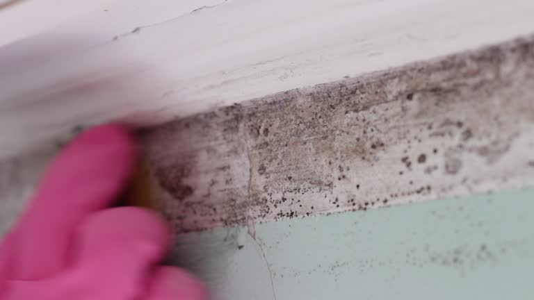 Best Airborne Mold Testing  in Berlin, NH